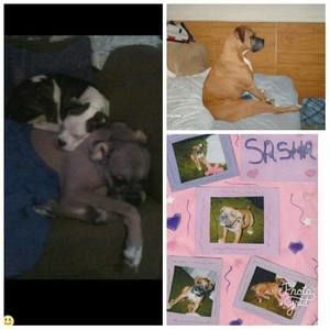 Meet your Posher, Ashley